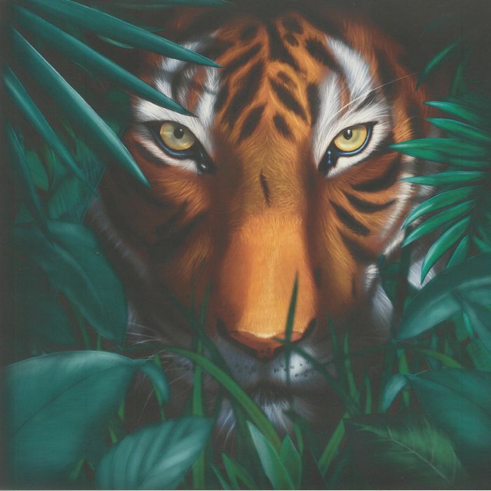 A VISION OF PANORAMA - Unique Tiger