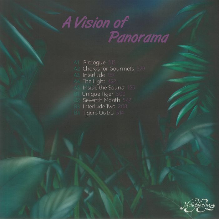 A VISION OF PANORAMA - Unique Tiger
