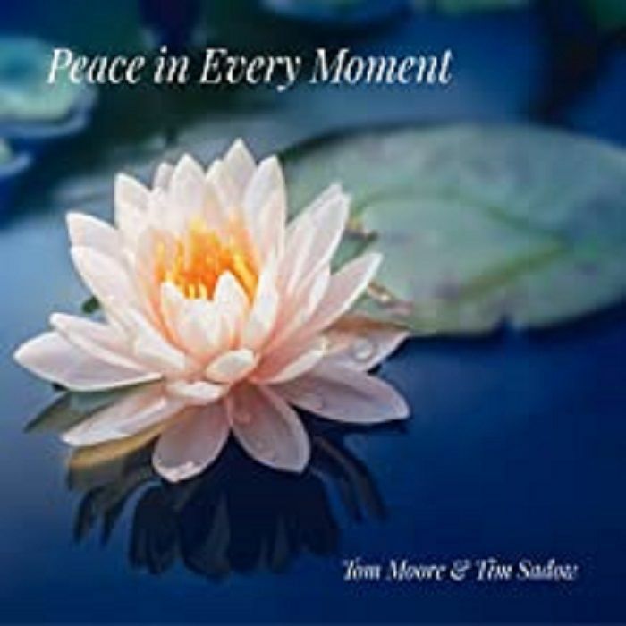 MOORE, Tom/TIM SADOW - Peace In Every Moment