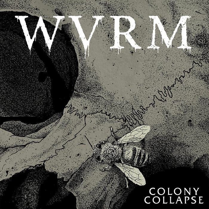 WVRM - Colony Collapse