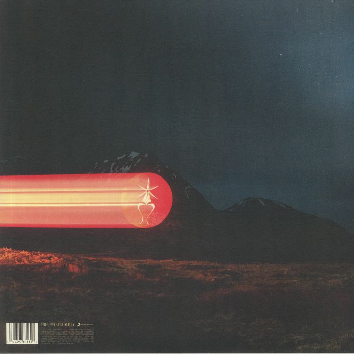 Dominic FIKE - What Could Possibly Go Wrong Vinyl at Juno