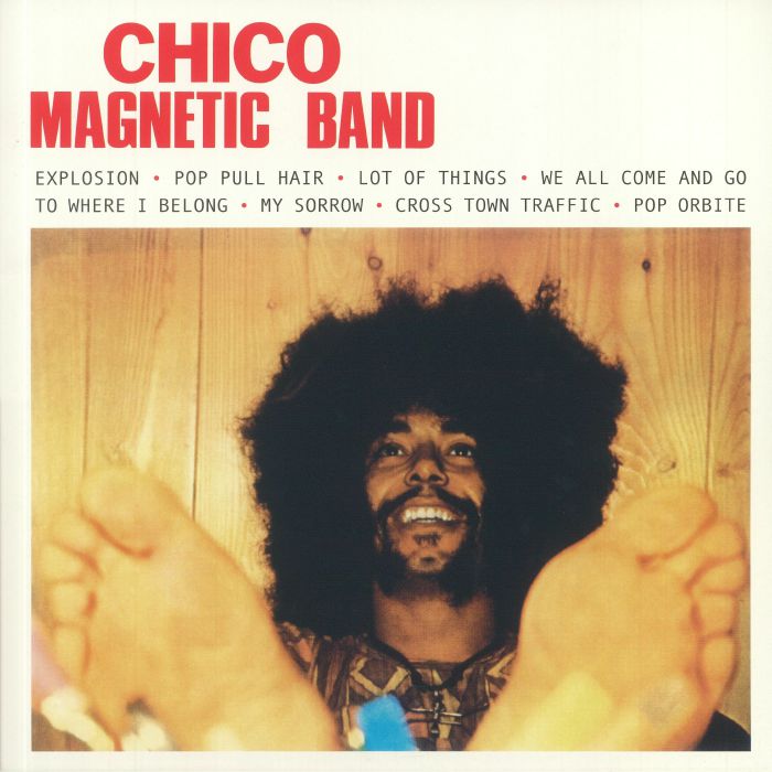 CHICO MAGNETIC BAND - Chico Magnetic Band