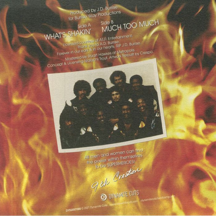 9TH CREATION - What's Shakin