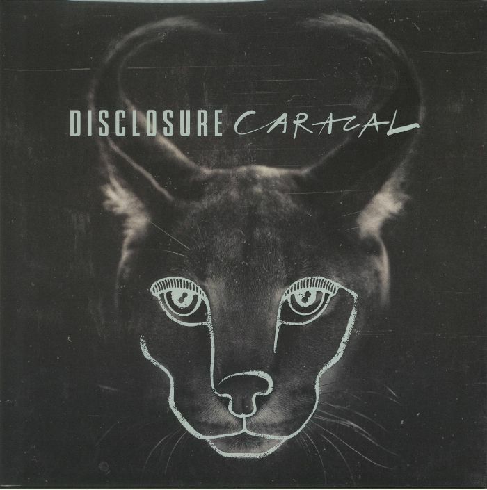 DISCLOSURE - Caracal (B-STOCK)