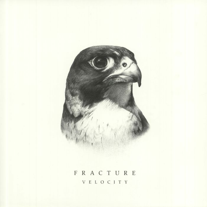 FRACTURE - Velocity