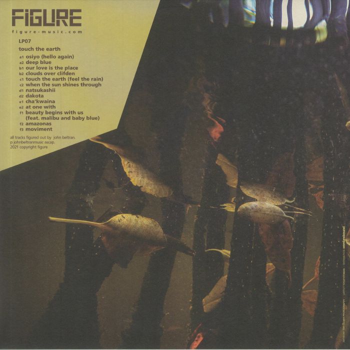 PLACID ANGLES - Touch The Earth