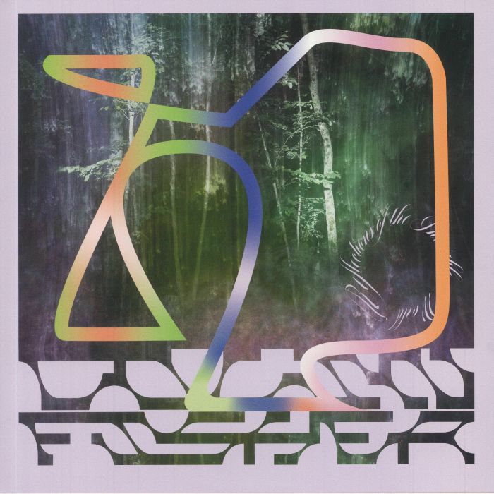 FISHER, Colin - Reflections Of The Invisible World