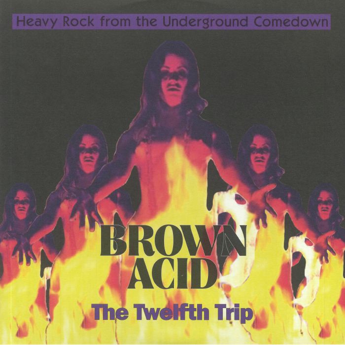 VARIOUS - Brown Acid: The Twelfth Trip