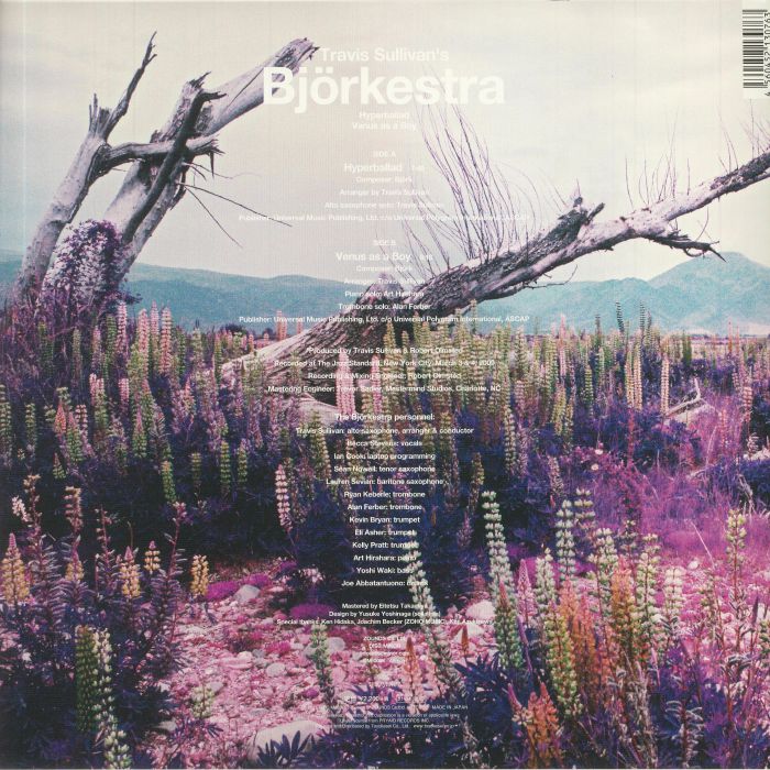 TRAVIS SULLIVAN'S BJORKESTRA - Hyperballad