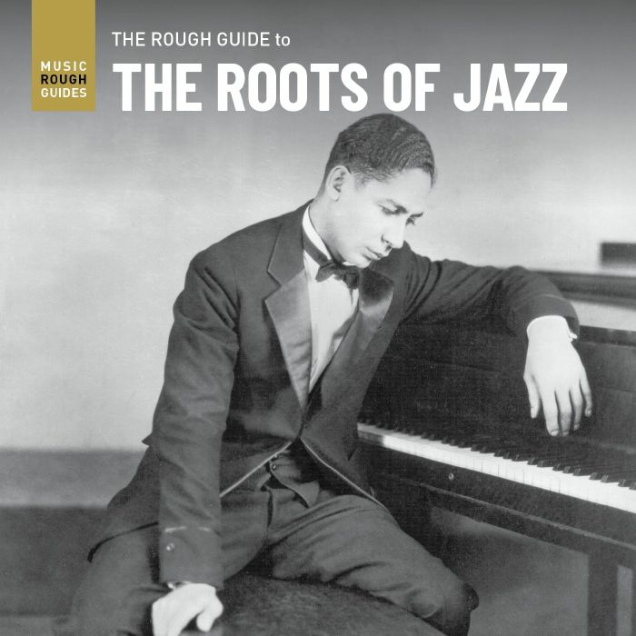 VARIOUS - The Rough Guide To The Roots Of Jazz