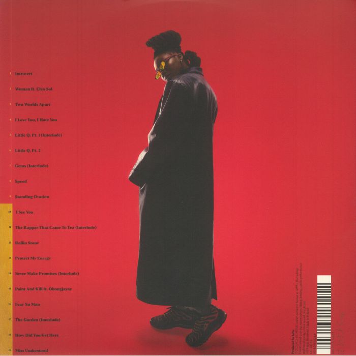 LITTLE SIMZ - Sometimes I Might Be Introvert
