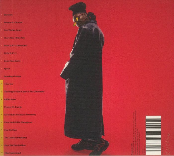 LITTLE SIMZ - Sometimes I Might Be Introvert