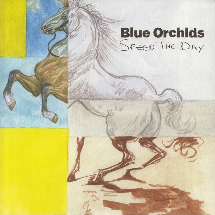 BLUE ORCHIDS - Speed The Day