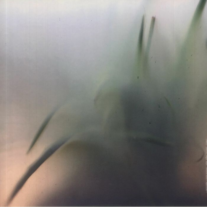 TIBSLC - Delusive Tongue Shifts: Situation Based Compositions