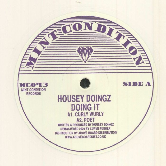 HOUSEY DOINGZ - Doing It (remastered)