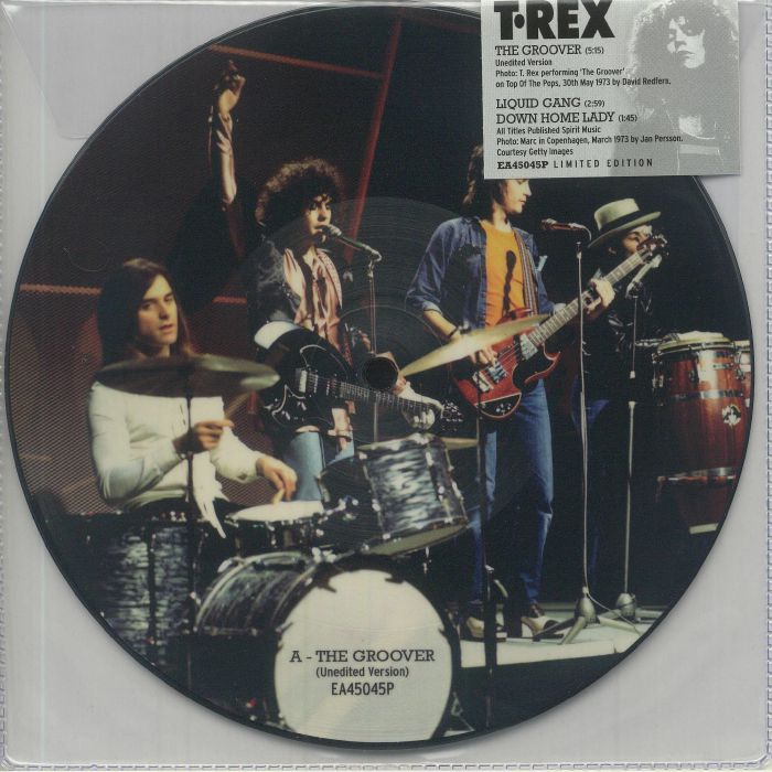 T REX - The Groover