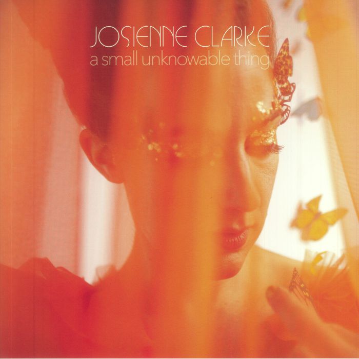 CLARKE, Josienne - A Small Unknowable Thing