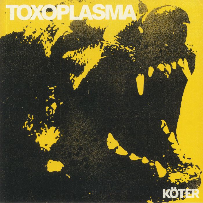 TOXOPLASMA - Koter