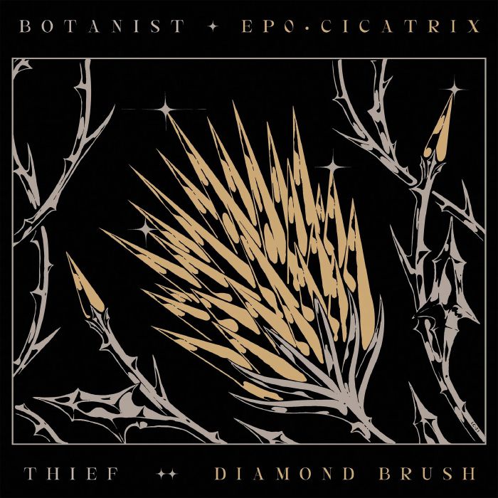 BOTANIST/THIEF - Cicatrix/Diamond Brush