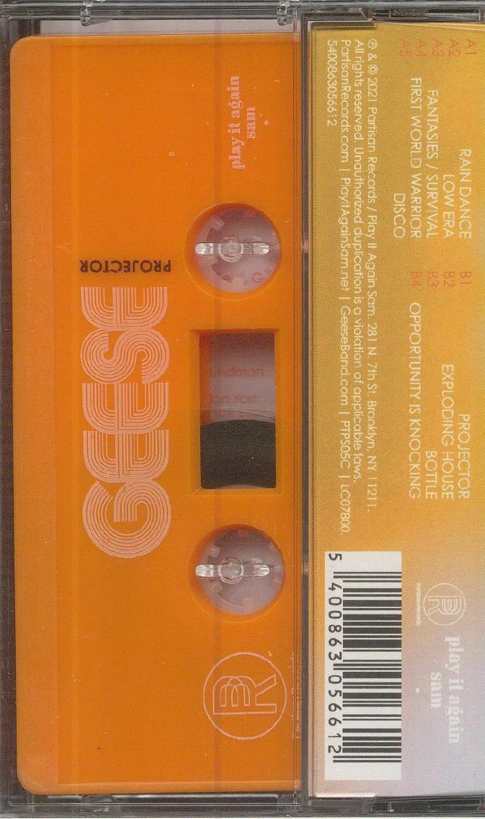 GEESE - Projector
