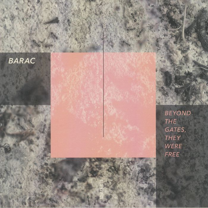 BARAC - Beyond The Gates They Were Free