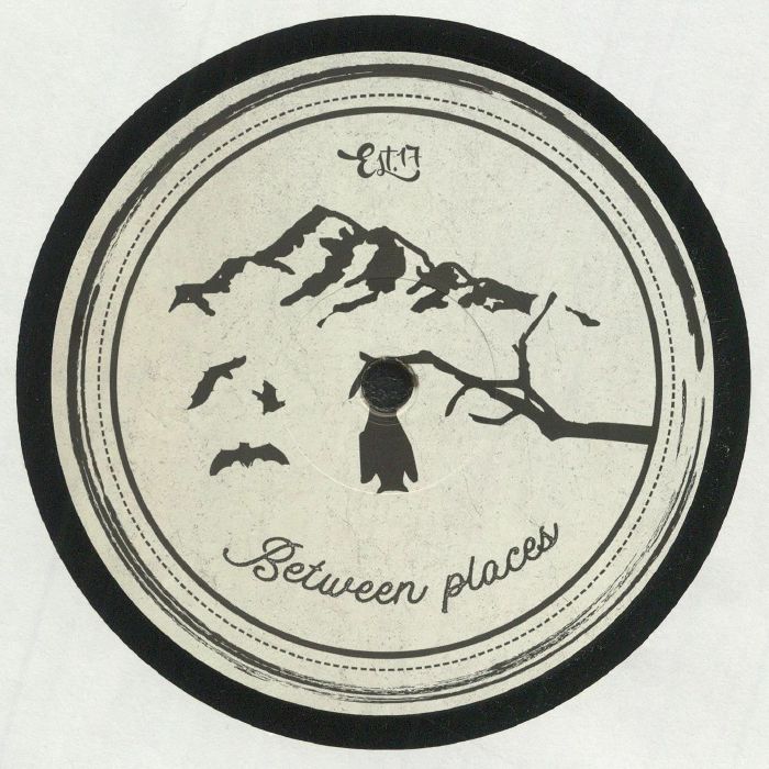 MSRG - Afterwork Programming