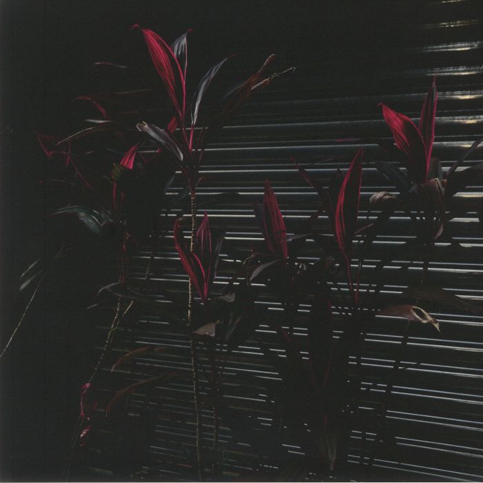 FINE PLACE - This New Heaven