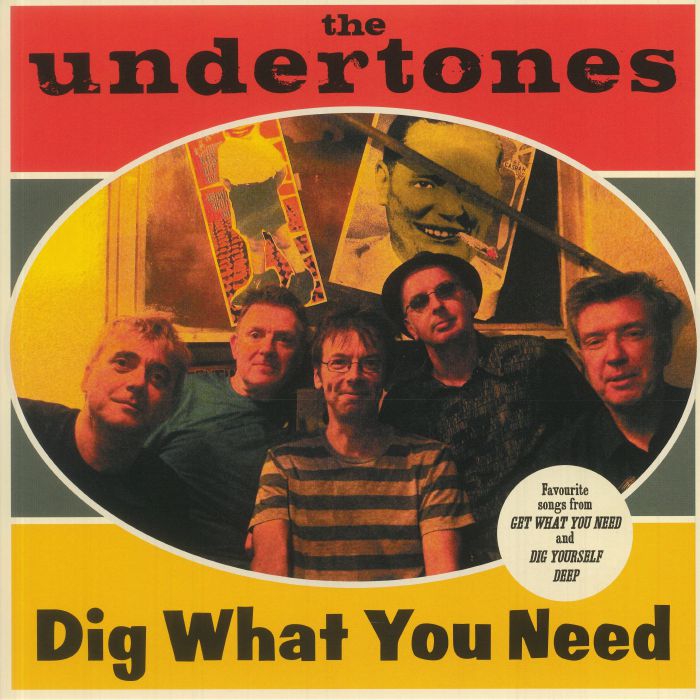 UNDERTONES, The - Dig What You Need