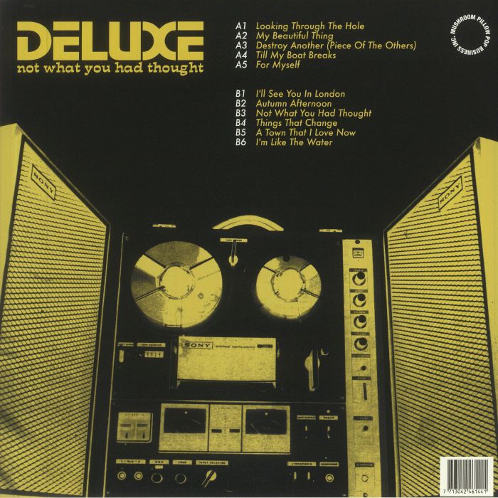 DELUXE - Not What You Had Thought