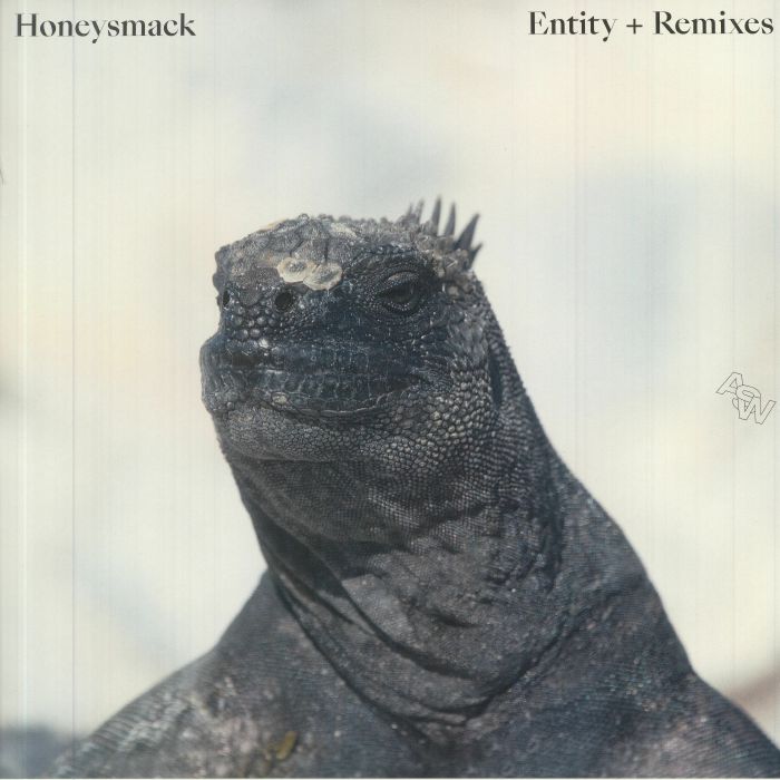 HONEYSMACK - Entity (remixes)