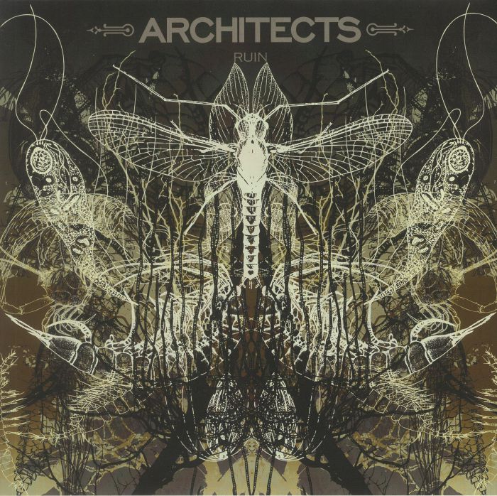 ARCHITECTS - Ruin (reissue)