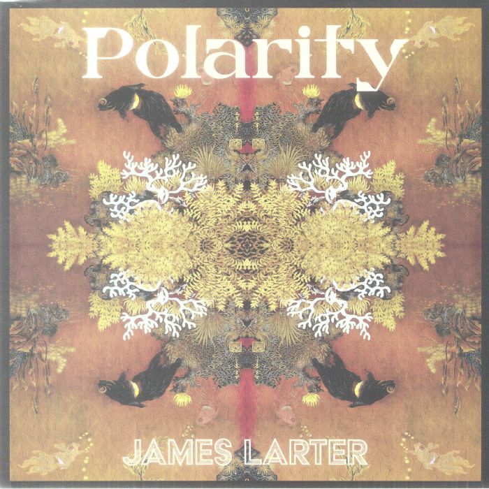 LARTER, James - Polarity