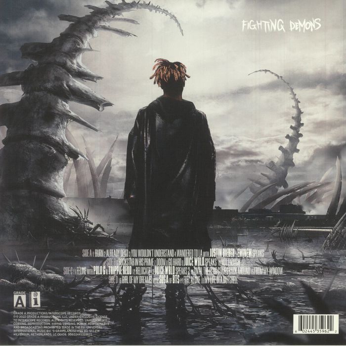 JUICE WRLD - Fighting Demons