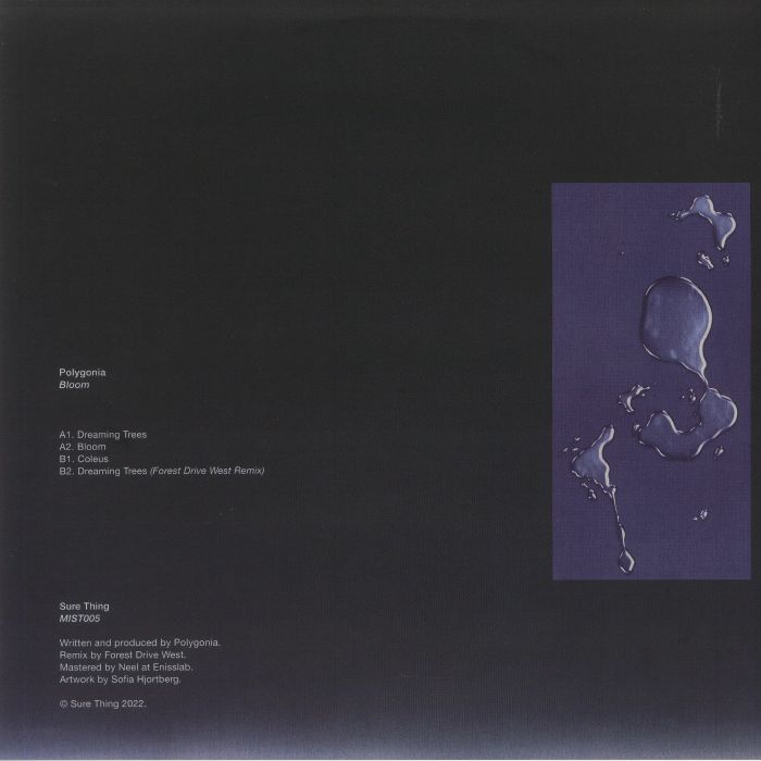 POLYGONIA - Bloom (Forest Drive West mix)