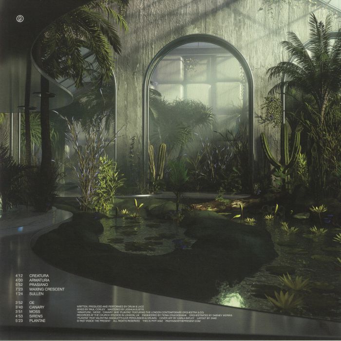 DRUM & LACE Natura Vinyl at Juno Records.