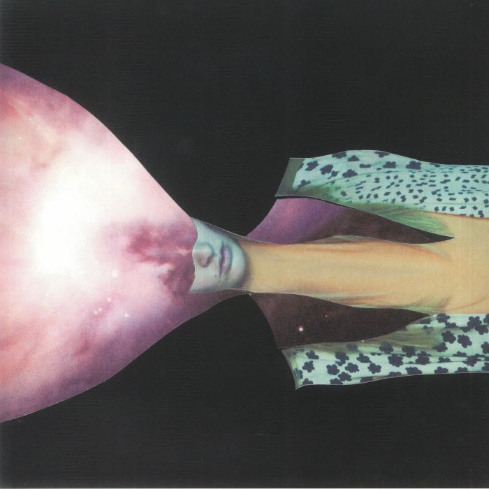 Painted Shield – Painted Shield 2 vinyl cover