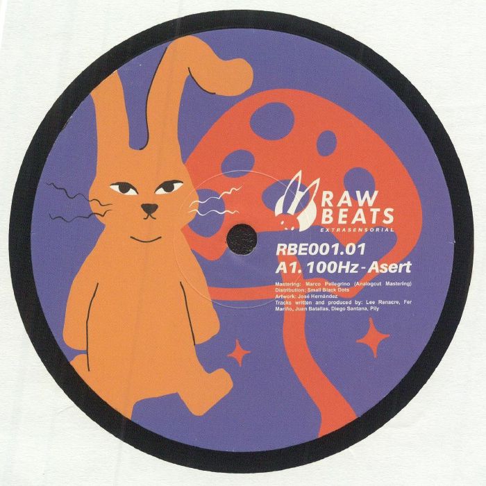 100HZ/FER MARINO/JUAN PROELIIS/DIEGO SANTANA/PILY - Rawbeats Extrasensorial