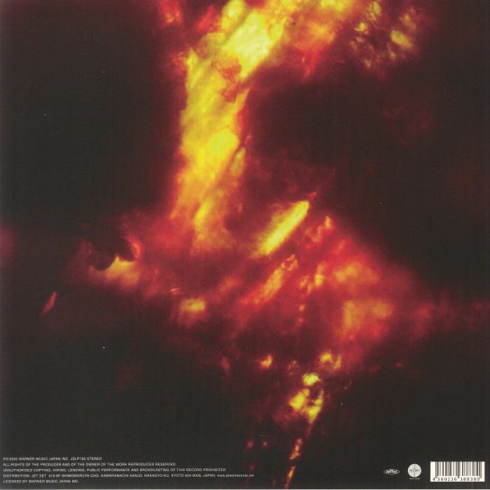 AAAMYYY ANNIHILATION LP