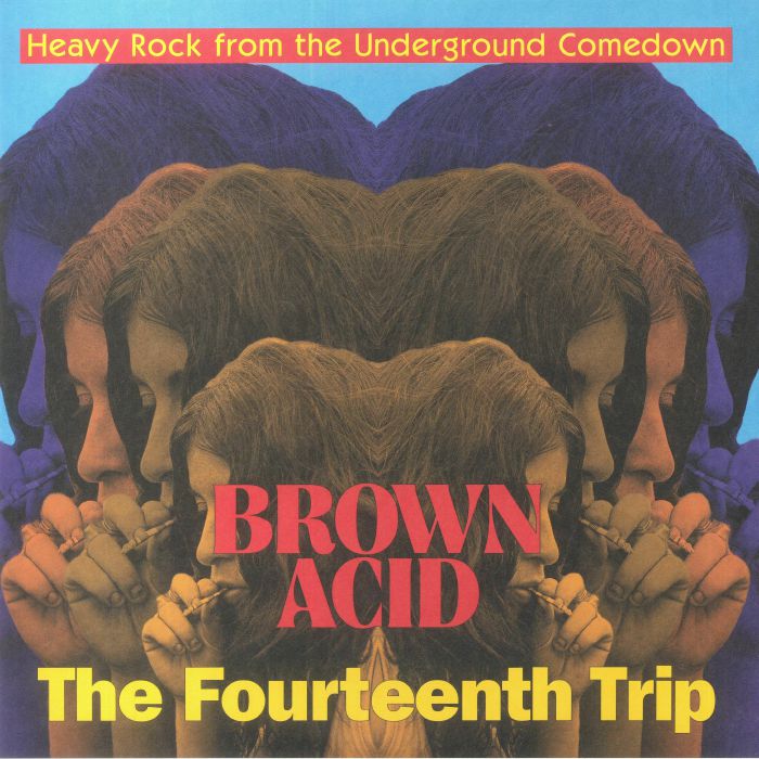 VARIOUS - Brown Acid: The Fourteenth Trip
