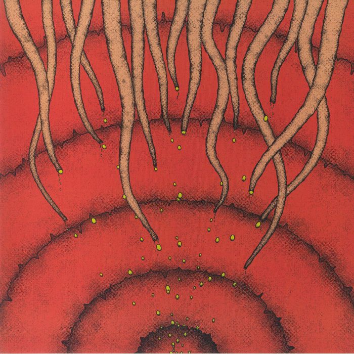 ICEBERG - Final Thaw
