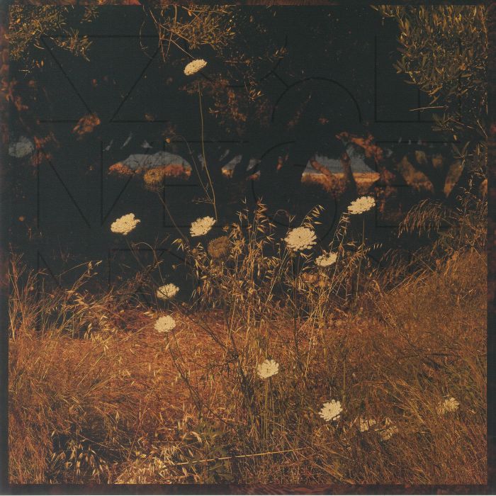 Szun Waves – Earth Patterns vinyl cover