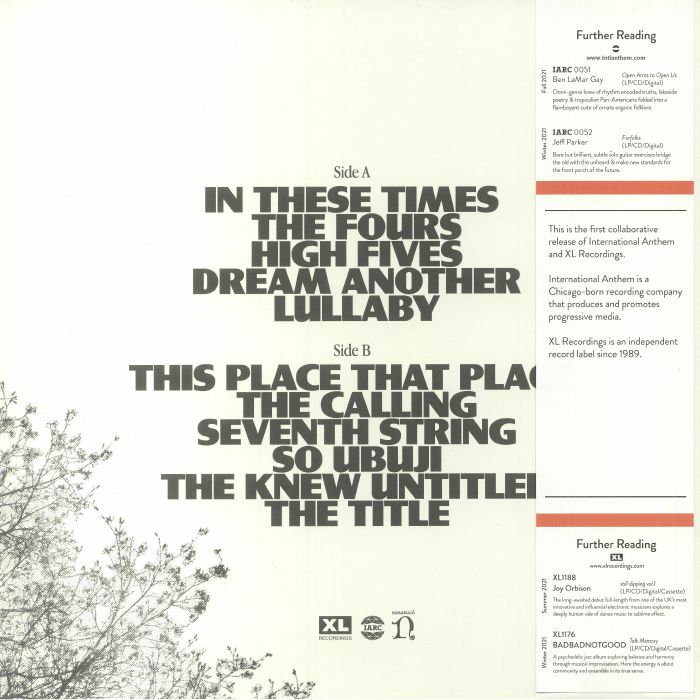 McCRAVEN, Makaya - In These Times