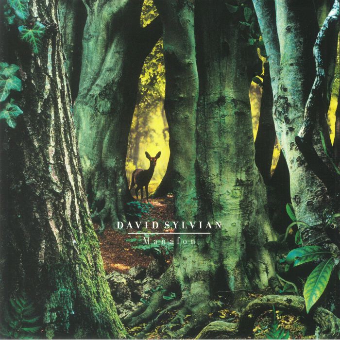 David Sylvian – Manafon vinyl cover