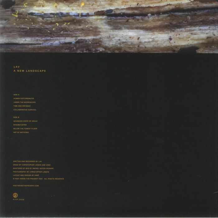 LAV - A New Landscape