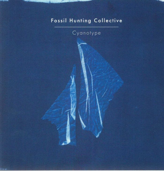 FOSSIL HUNTING COLLECTIVE - Cyanotype