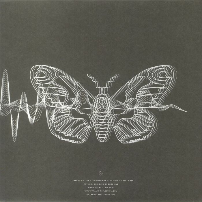 ABSTRACT DIVISION - Midnight Ensemble