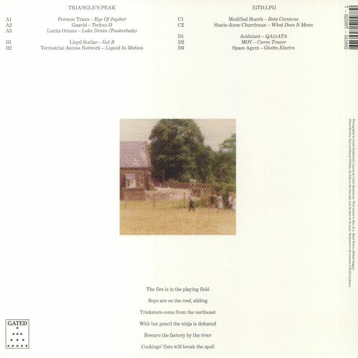 VARIOUS - Triangle's Peak