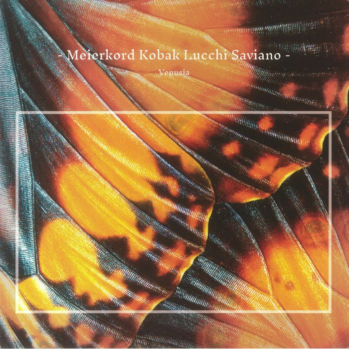 MEIERKORD, Henrik/PAWEL KOBAK/MARCO LUCCHI/ROCCO SAVIANO - Venusia