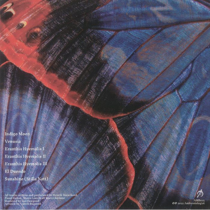 MEIERKORD, Henrik/PAWEL KOBAK/MARCO LUCCHI/ROCCO SAVIANO - Venusia