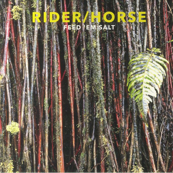 RIDER HORSE - Feed 'Em Salt